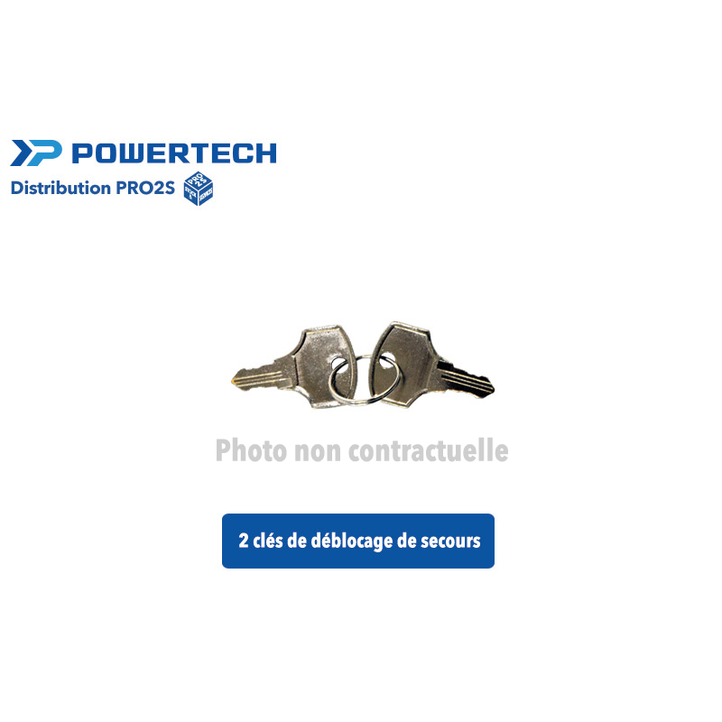 Lot de 2 clés Powertech pour motorisation PW200