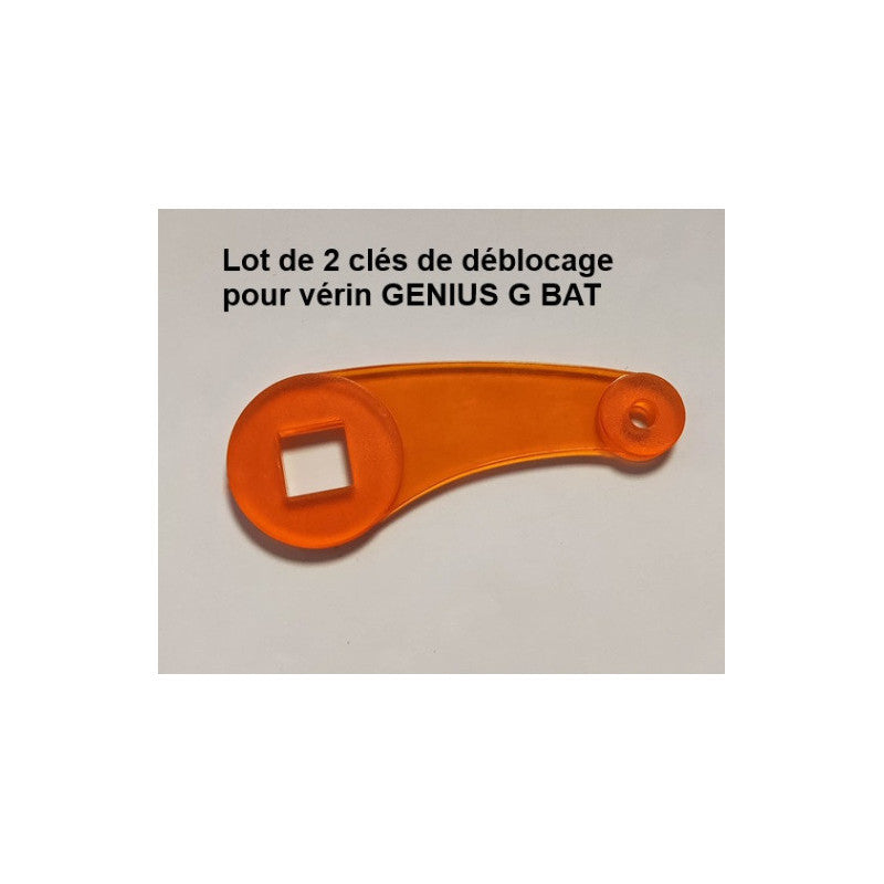 Lot de 2 clés 6020513 pour moteur G-BAT FAAC Genius